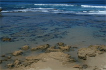 Braddon ACT Accommodation Mt Buller