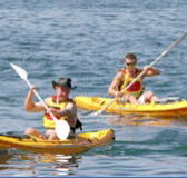 Manly Kayaks - Accommodation Mt Buller