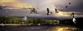 Territory Wildlife Park - Accommodation Mt Buller 1