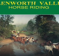 Glenworth Valley Horseriding - Accommodation Mt Buller