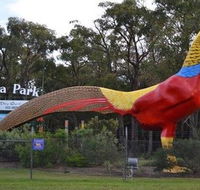 Gumbuya Park - Accommodation Mt Buller