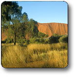 Uluru NT Accommodation Mt Buller