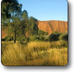 Uluru - Kata Tjuta National Park - Accommodation Mt Buller