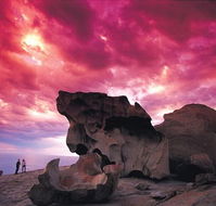 Kangaroo Island Adventure Tour 2 day/1 night - Accommodation Mt Buller