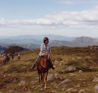 High Country Horses - Accommodation Mt Buller