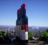 Mount Tamborine Winery  Homestead - Accommodation Mt Buller