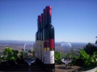 Mount Tamborine Winery & Homestead - Accommodation Mt Buller 0
