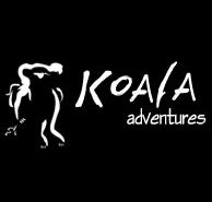 Koala Adventures - Accommodation Mt Buller