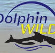 Dolphin Wild - Accommodation Mt Buller