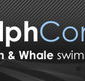 Dolphcom - Dolphin  Whale Swimming Adventures - Accommodation Mt Buller