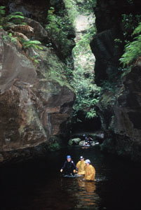 High And Wild Mountain Adventures - Accommodation Mt Buller 1