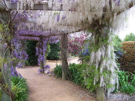 Abingdon Miniature Village - Accommodation Mt Buller 0