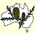 Australian National Botanic Gardens - Accommodation Mt Buller