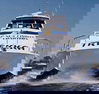 Sunshine Coast Fishing Charters - Accommodation Mt Buller