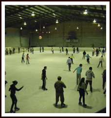 Bendigo Ice Stadium - Accommodation Mt Buller 1