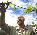 Barossa Experience Tours - Accommodation Mt Buller