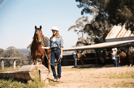 Watsons Trail Rides - Accommodation Mt Buller