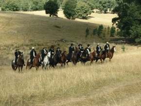 McCormacks Mountain Valley Trail Rides - Accommodation Mt Buller