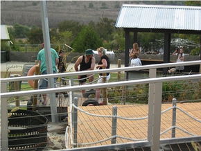  Accommodation Mt Buller