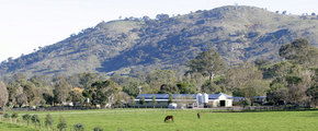 Blue Gum Farm - Accommodation Mt Buller 1