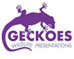 Geckoes Wildlife Presentations - Accommodation Mt Buller 3