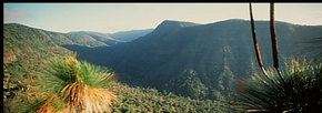 Lamington National Park And OReillys - Accommodation Mt Buller 1