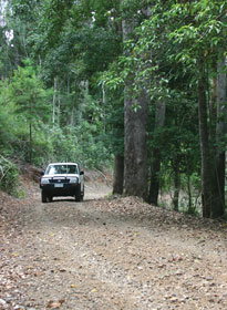 Lamington National Park And OReillys - Accommodation Mt Buller 2