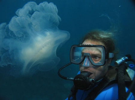 Silver Swift - Accommodation Mt Buller 2