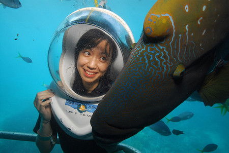 Sunlover Reef Cruises - Accommodation Mt Buller 0