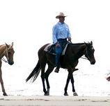 Ride the Beach - Accommodation Mt Buller