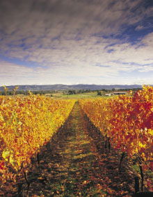 South Melbourne VIC Accommodation Mt Buller