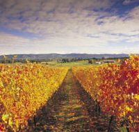 Link Tours - Accommodation Mt Buller