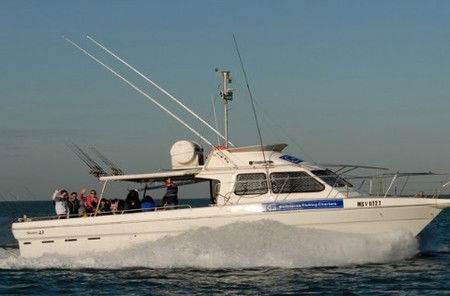Melbourne Fishing Charters - Accommodation Mt Buller 2