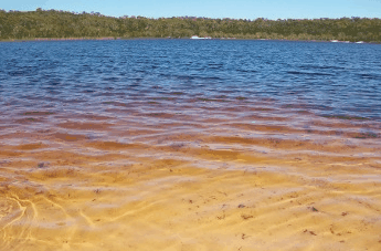 Beach Trekkers North Stradbroke Island - Accommodation Mt Buller 1