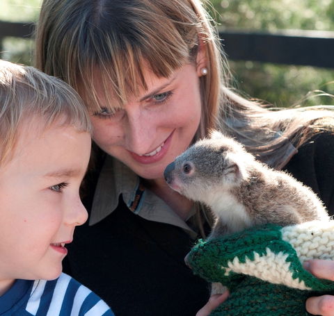 Australian Reptile Park - Accommodation Mt Buller 1