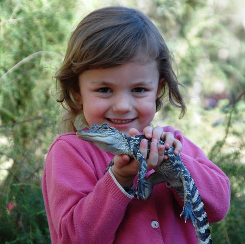 Australian Reptile Park - Accommodation Mt Buller 2