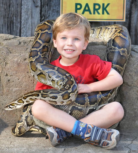 Australian Reptile Park - Accommodation Mt Buller 3