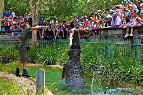 Australian Reptile Park - Accommodation Mt Buller 4