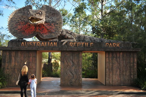 Australian Reptile Park - Accommodation Mt Buller 5