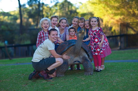 Australian Reptile Park - Accommodation Mt Buller 11