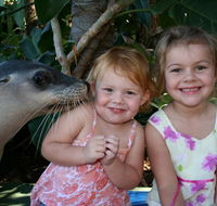 Dolphin Marine Magic - Accommodation Mt Buller