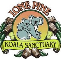 Lone Pine Koala Sanctuary - Accommodation Mt Buller