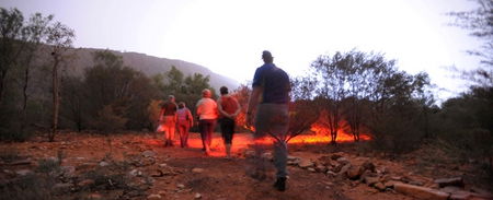 Alice Springs Desert Park - Accommodation Mt Buller 4