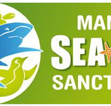 Manly SEA LIFE Sanctuary - Accommodation Mt Buller