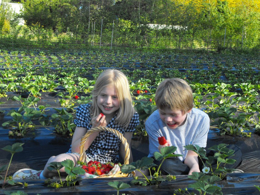  Accommodation Mt Buller