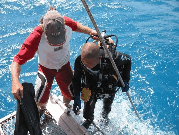 Big Cat Reality - Accommodation Mt Buller 2