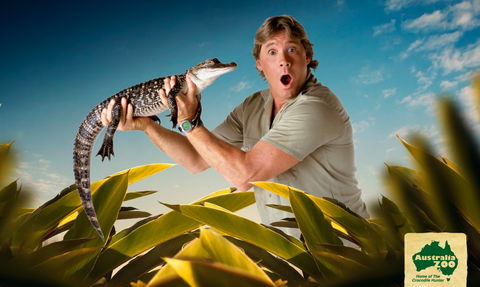 Australia Zoo - Accommodation Mt Buller 3