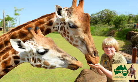 Australia Zoo - Accommodation Mt Buller 4