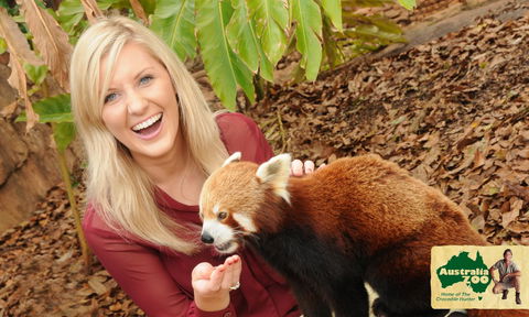 Australia Zoo - Accommodation Mt Buller 7