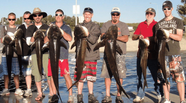 BKs Gold Coast Fishing Charters - Accommodation Mt Buller 1